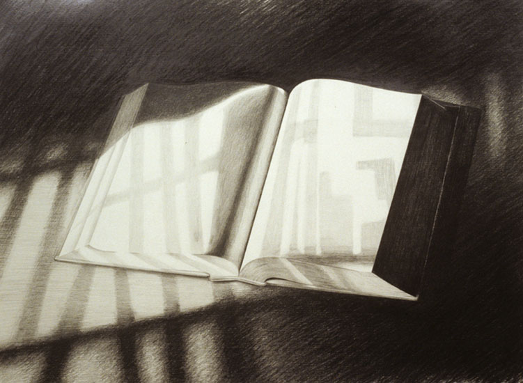 artwork entitled Book Drawing No. 6